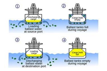 Denmark and China to co-op on ballast water