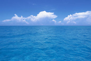 Foreship touches ground in Germany