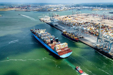 Port of Rotterdam launches 'Boxinsider'