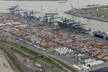 PSA DGD purchased by TIL and PSA