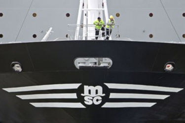 MSC appoints new CEO